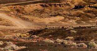 [德甲]飞机落地慕尼黑！雅克松租借加盟拜仁